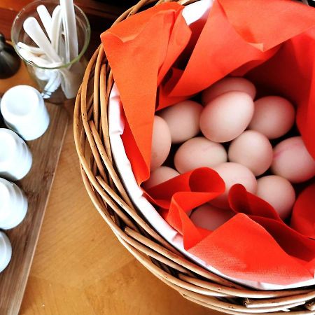 Hotel Spreewaldschule Langengrassau Ngoại thất bức ảnh